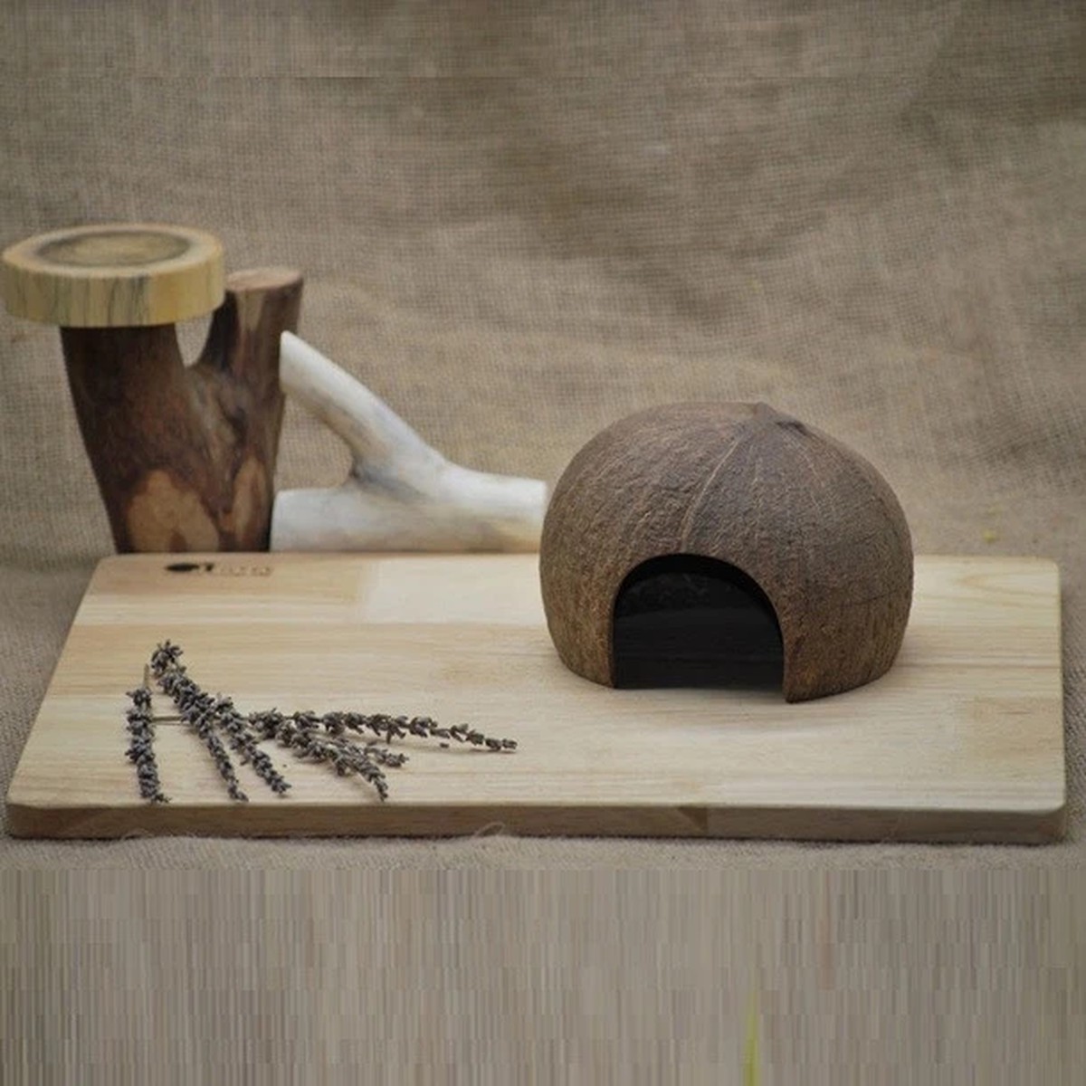 Qtoys Coconut Play House