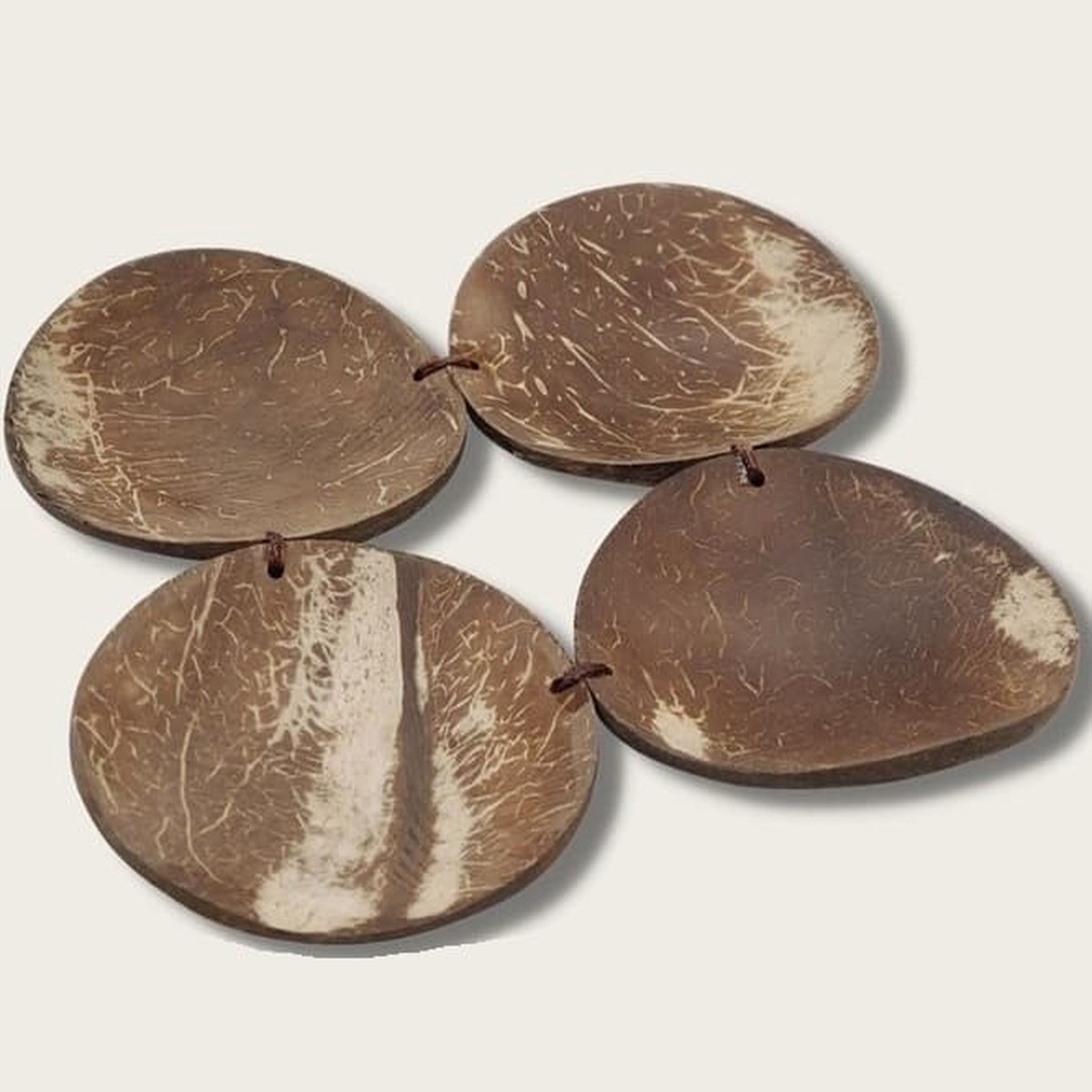 Qtoys Coconut Painting Palette
