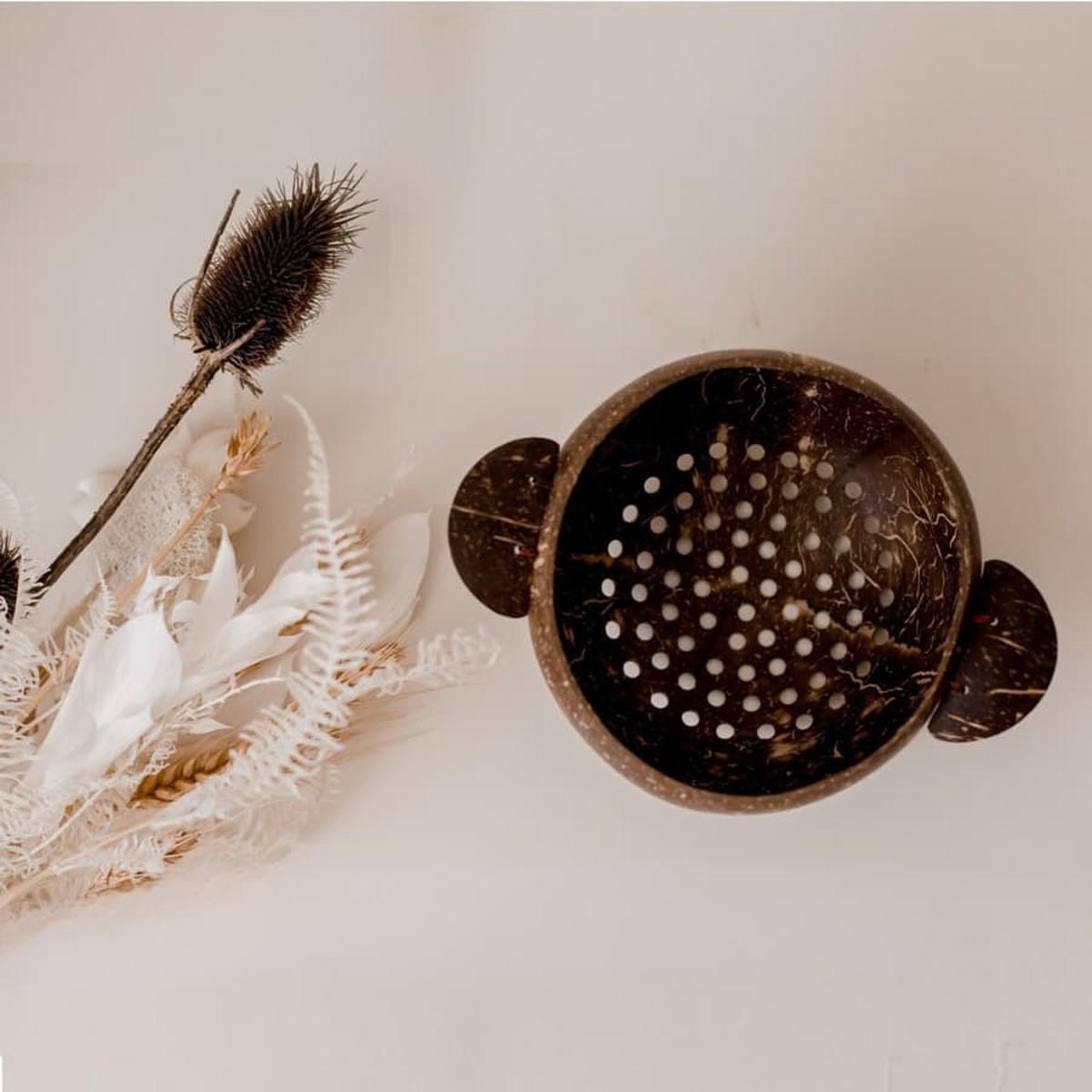 Qtoys Coconut Colander