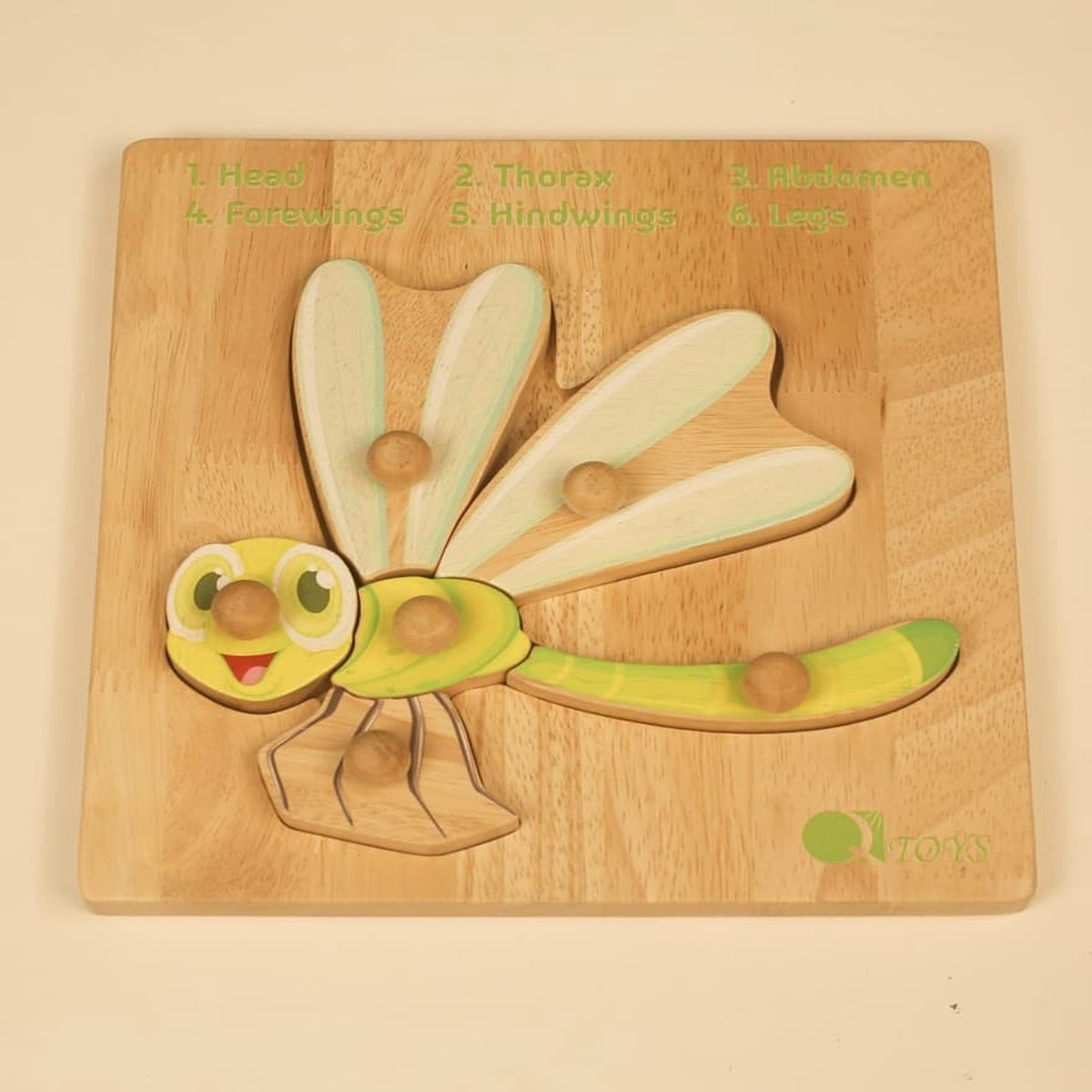 Qtoys Montessori Insect Anatomy Puzzle