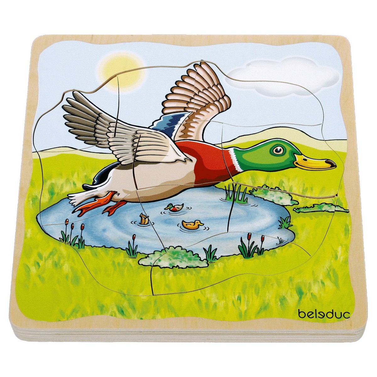 Wooden Life Cycle Duck Puzzle
