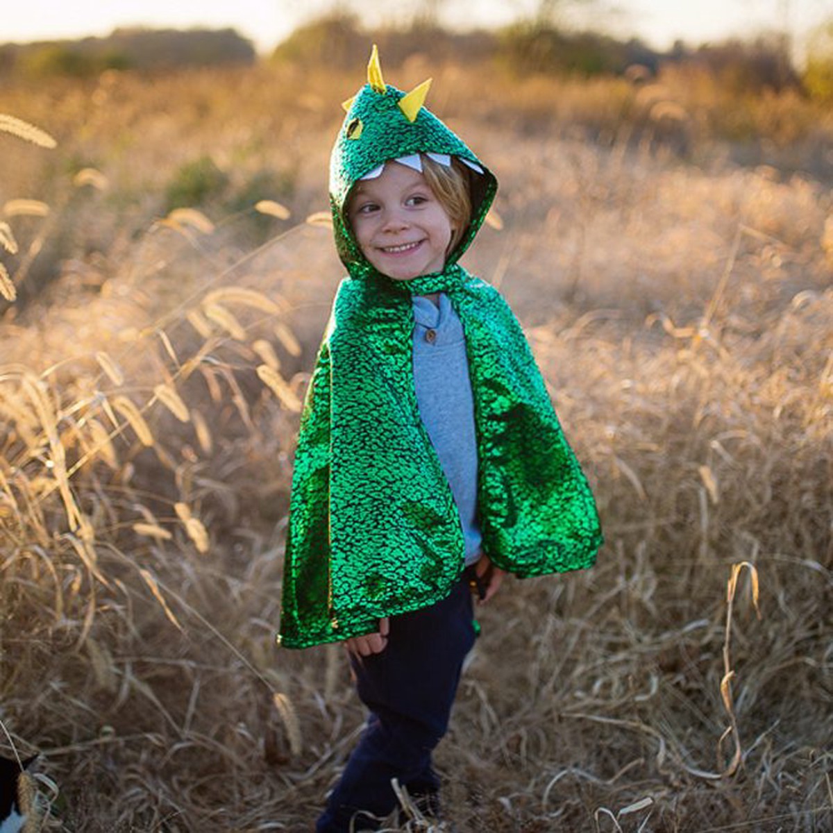 Great Pretenders Children’s Metallic Green Dragon Cape Costume