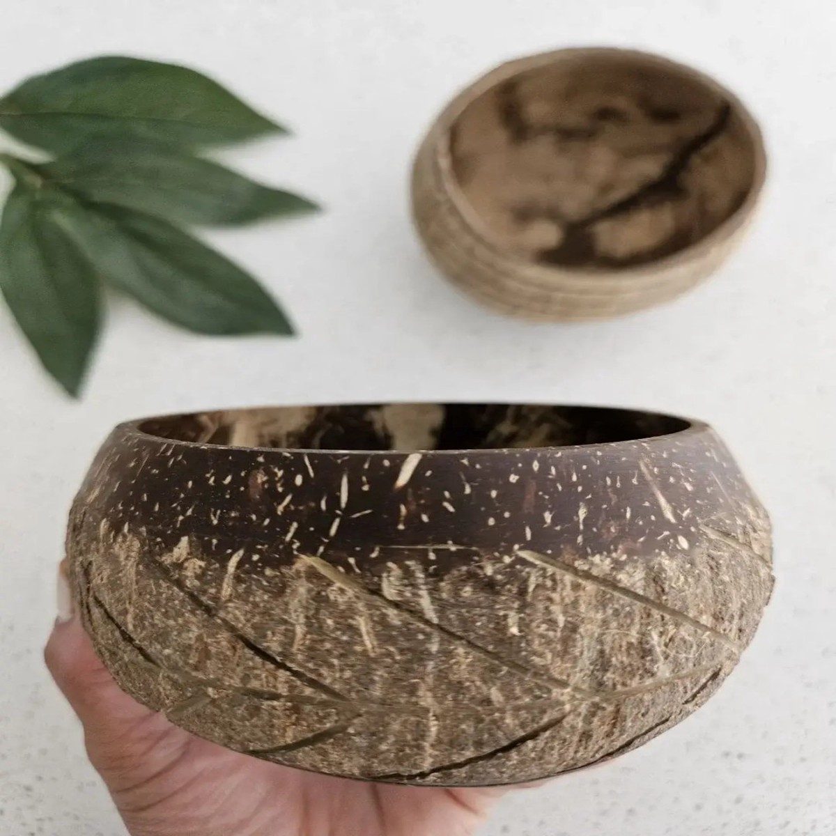Qtoys Fish Bone Pattern Coconut Bowl