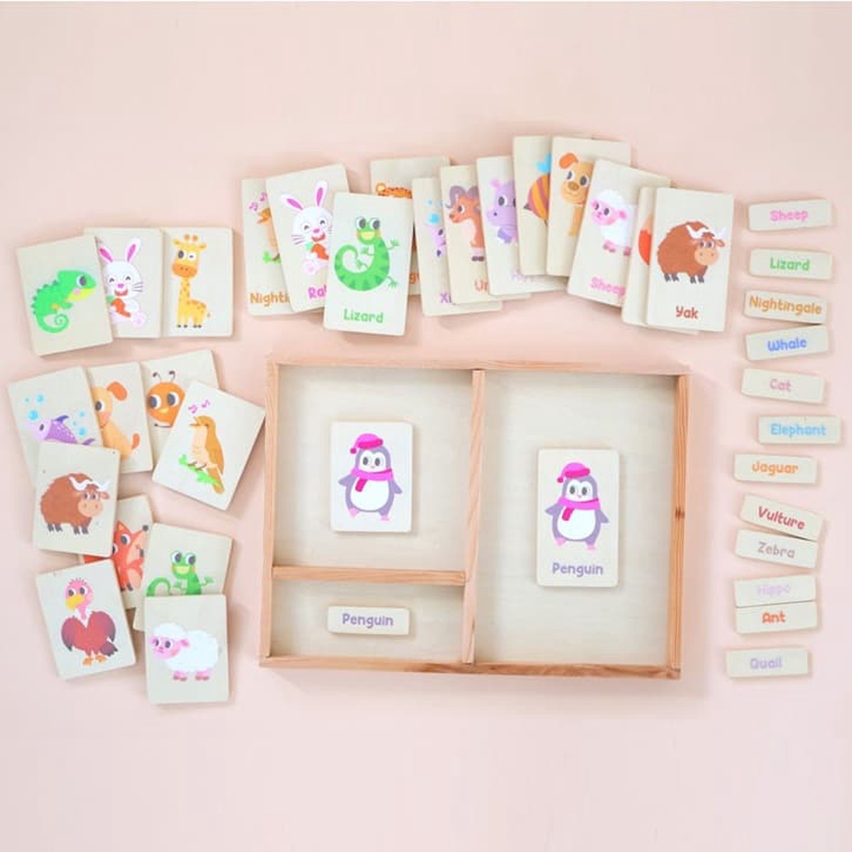 Qtoys Montessori Animal Card Learning Set