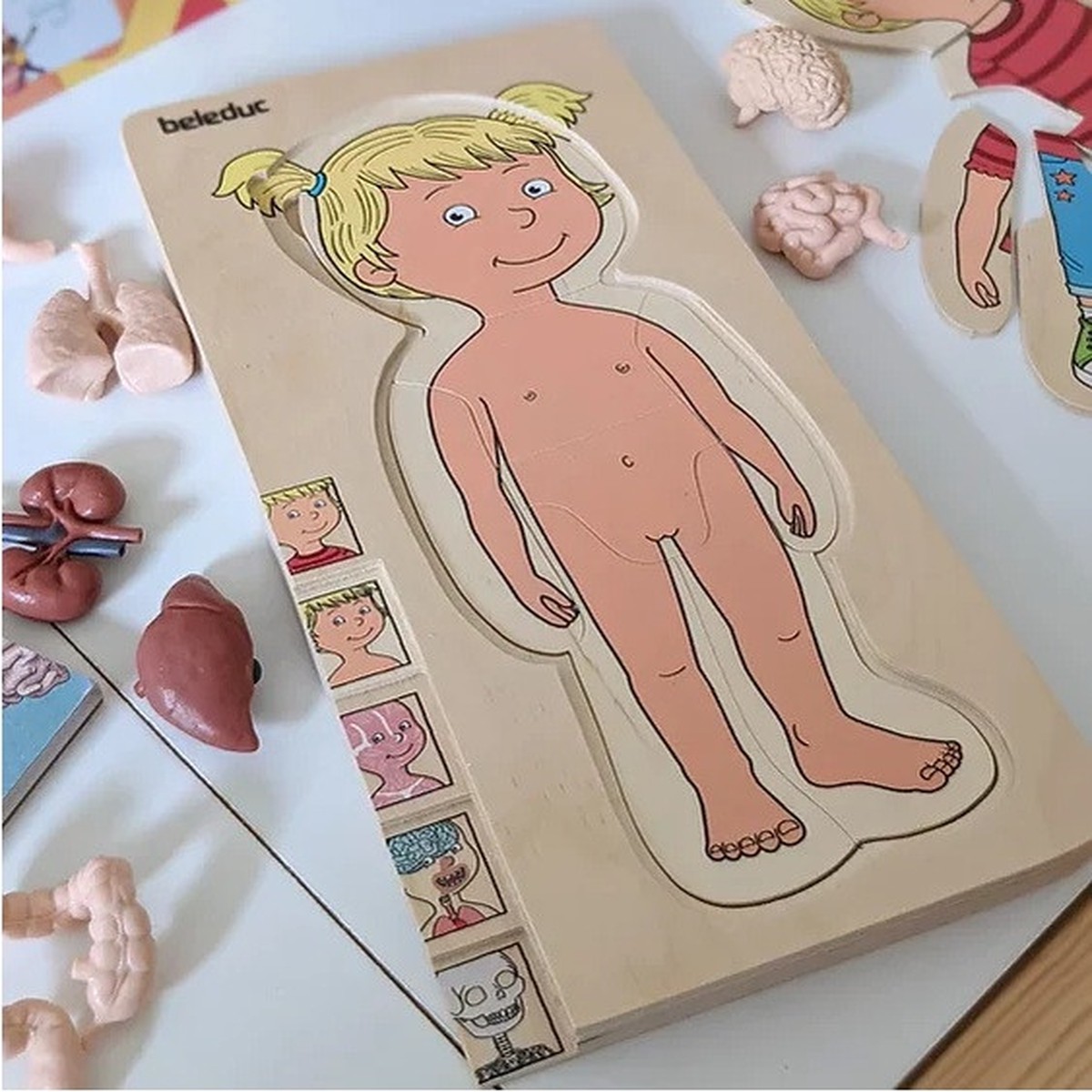 Beleduc My Body Girl - Anatomy Puzzle