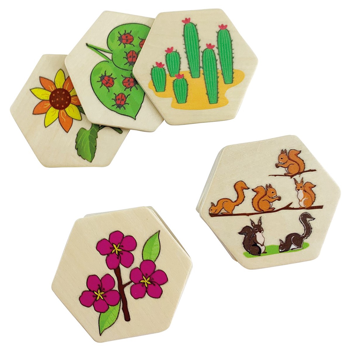 Beleduc - Nature Memory Game