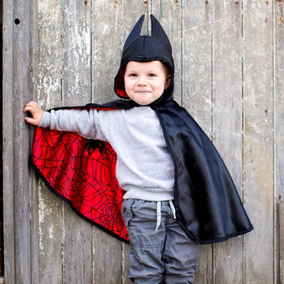 Great Pretenders Reversible Spider & Bat Cape 2-in-1 Toddler Costume for Little Superheroes