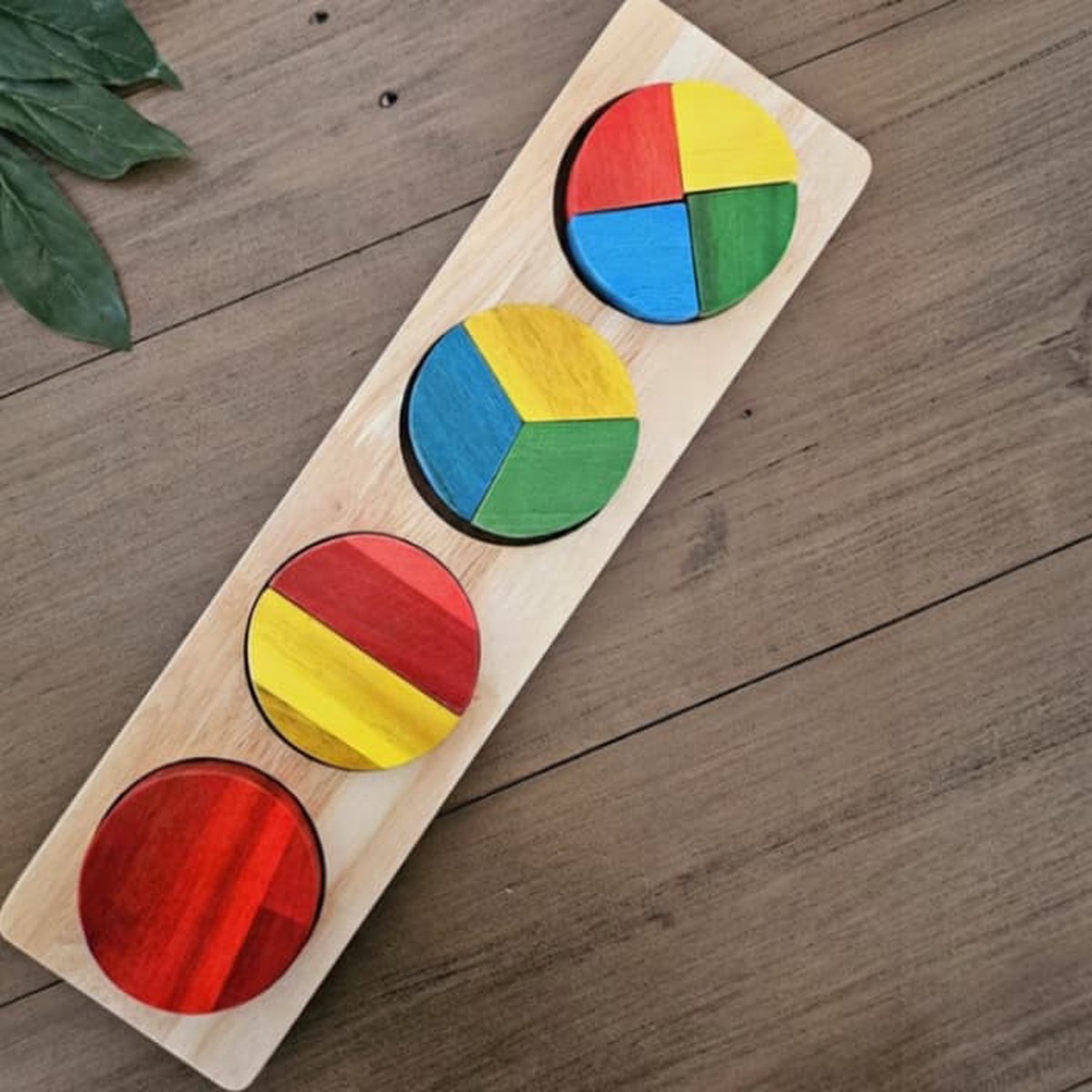 Qtoys Circle Fraction Puzzle