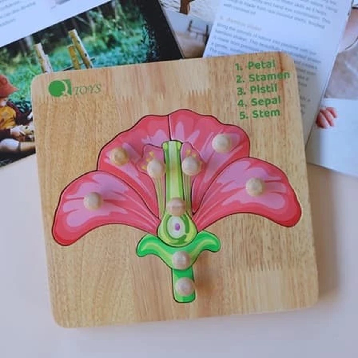 Qtoys Montessori Parts of a Flower Puzzle