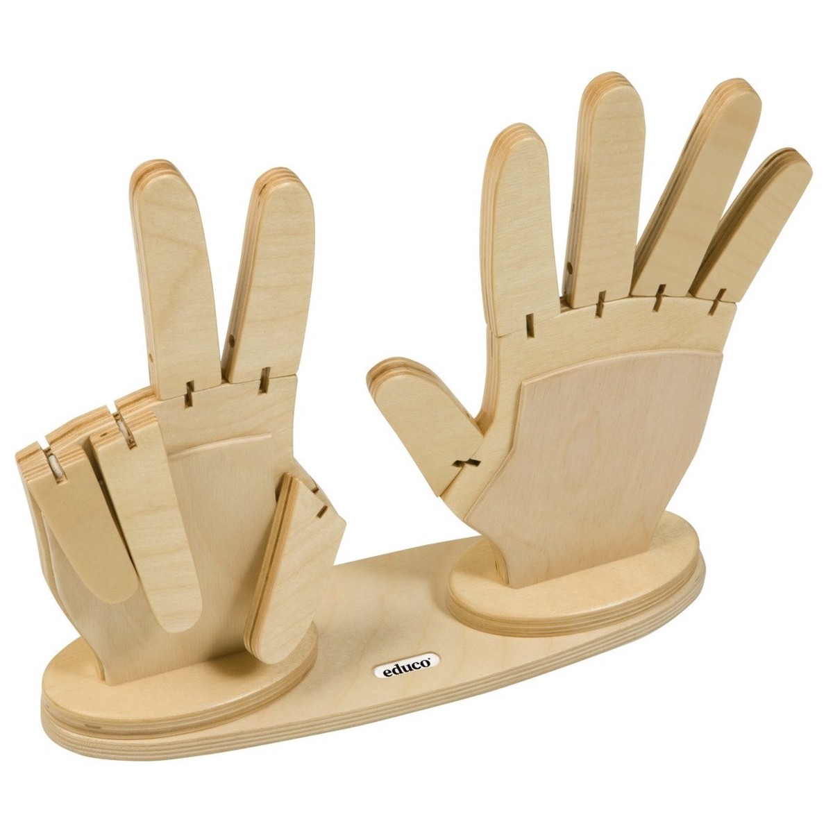 Educo Counting Hands
