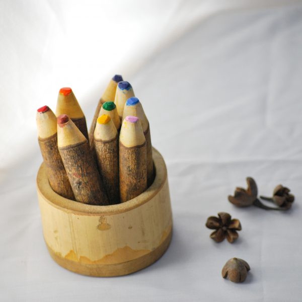 Qtoys Tree Colour Pencil Set