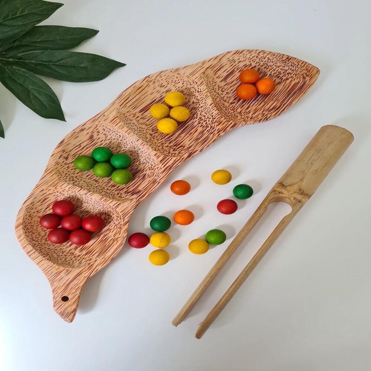 Qtoys Pea Pod Tray