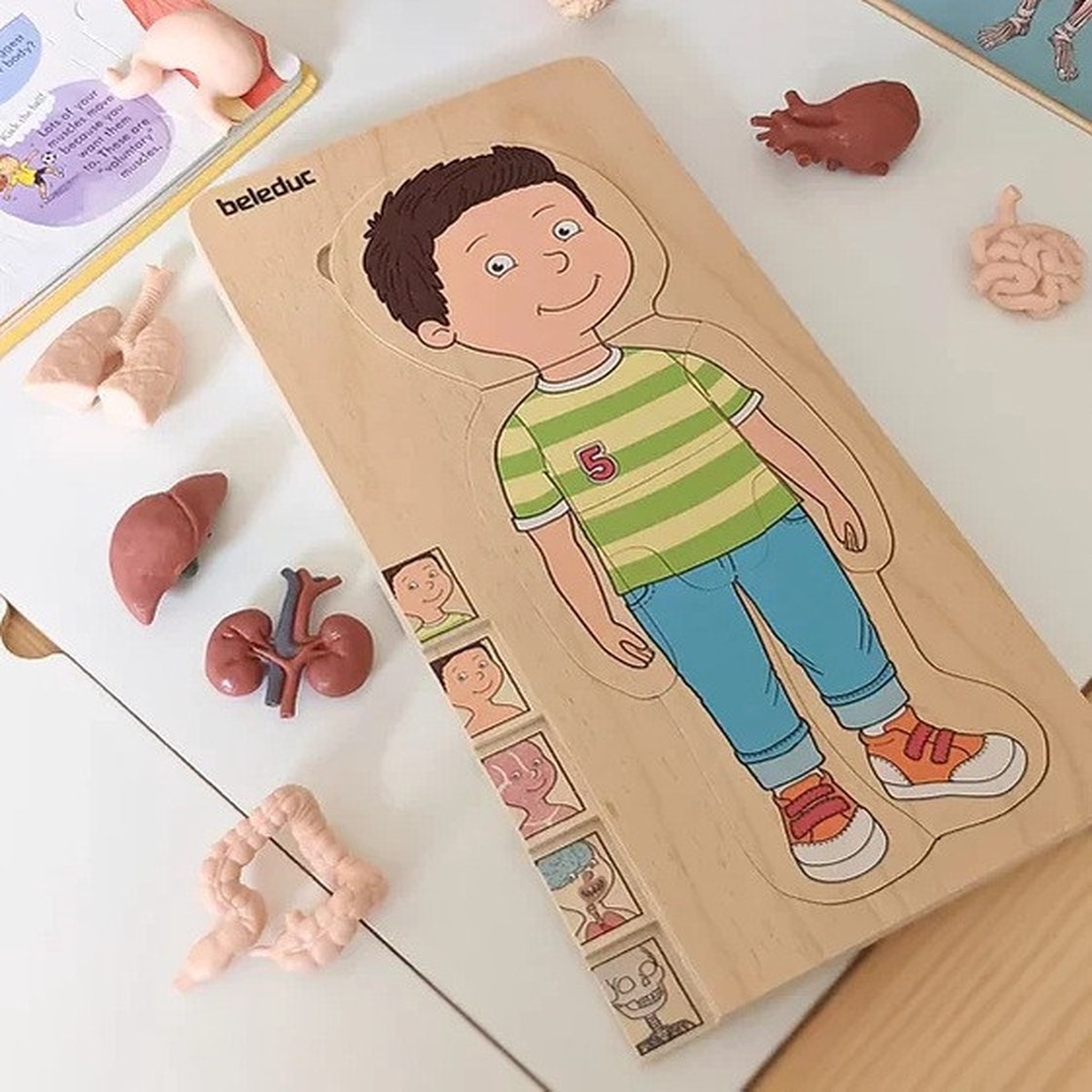 Beleduc My Body Boy - Anatomy Puzzle